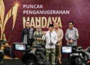 Sulap Lahan Kritis Jadi Kebun Nanas, Desa Tabarano Luwu Timur Raih Penghargaan Nasional
