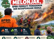Karhutla Meningkat, BPBD Luwu Timur Perkuat Kesiapsiagaan Hadapi Kebakaran